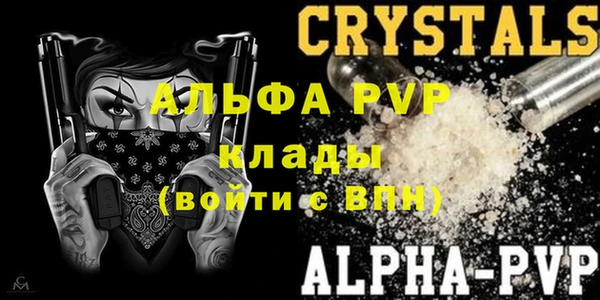 ПСИЛОЦИБИНОВЫЕ ГРИБЫ Бородино